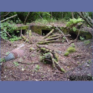 2006_1846_Sitka_Alaska.JPG