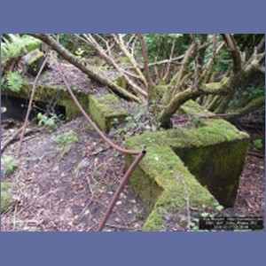 2006_1847_Sitka_Alaska.JPG