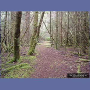 2006_1856_Sitka_Alaska.JPG