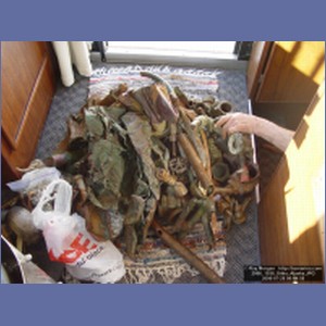 2006_1938_Sitka_Alaska.JPG