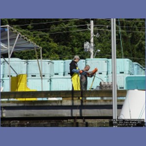 2006_1950_Sitka_Alaska.JPG