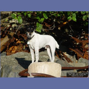 2006_1960_Sitka_Alaska.JPG