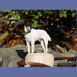 2006_1961_Sitka_Alaska.JPG