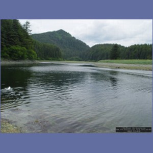 2006_1516_Soapstone_Cove_Yakobi_Island_AK.JPG