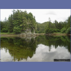 2006_1521_Soapstone_Cove_Yakobi_Island_AK.JPG