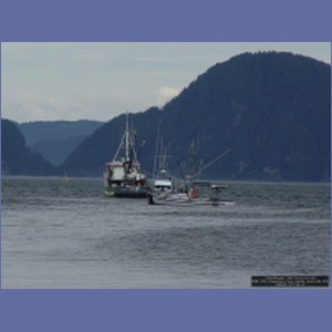 2006_1525_Soapstone_Cove_Yakobi_Island_AK.JPG