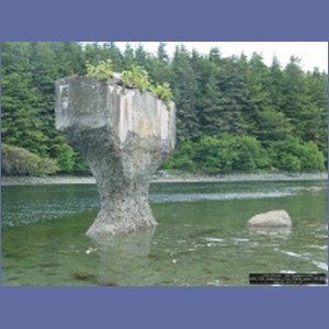 2006_1542_Soapstone_Cove_Yakobi_Island_AK.JPG