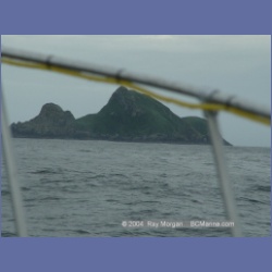 2003_3710_Solander_Island_Cape_Cook.html