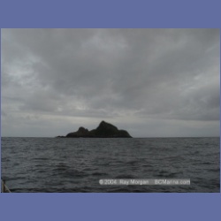 2003_3716_Solander_Island_Cape_Cook.html