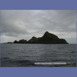2003_3722_Solander_Island_Cape_Cook.html