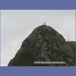 2003_3724_Solander_Island_Cape_Cook.html
