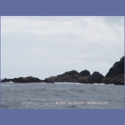2003_3726_Solander_Island_Cape_Cook.html