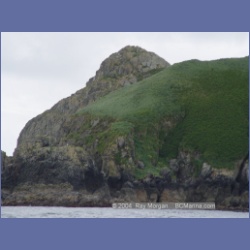 2003_3729_Solander_Island_Cape_Cook.html