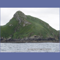 2003_3730_Solander_Island_Cape_Cook.html