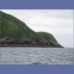 2003_3731_Solander_Island_Cape_Cook.html