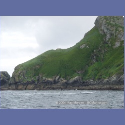 2003_3732_Solander_Island_Cape_Cook.html