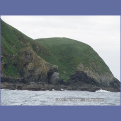 2003_3734_Solander_Island_Cape_Cook.html
