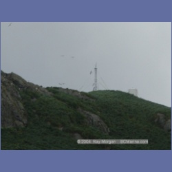 2003_3735_Solander_Island_Cape_Cook.html