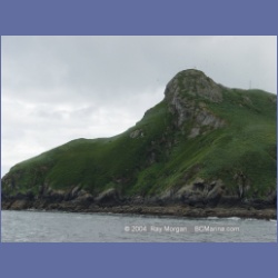 2003_3736_Solander_Island_Cape_Cook.html