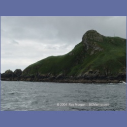 2003_3738_Solander_Island_Cape_Cook.html