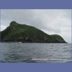 2003_3742_Solander_Island_Cape_Cook.html