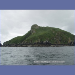 2003_3744_Solander_Island_Cape_Cook.html