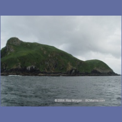 2003_3745_Solander_Island_Cape_Cook.html