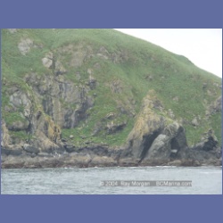 2003_3749_Solander_Island_Cape_Cook.html
