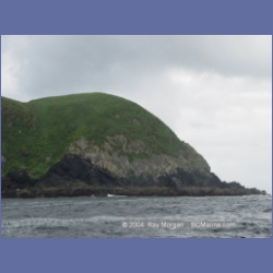2003_3750_Solander_Island_Cape_Cook.html