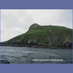 2003_3752_Solander_Island_Cape_Cook.html