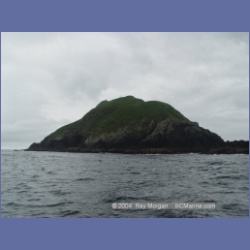 2003_3755_Solander_Island_Cape_Cook.html