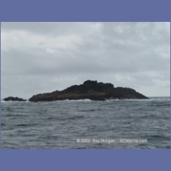 2003_3757_Solander_Island_Cape_Cook.html