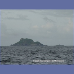 2003_3759_Solander_Island_Cape_Cook.html