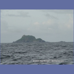 2003_3760_Solander_Island_Cape_Cook.html