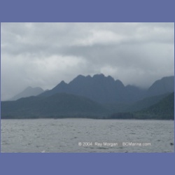 2003_3761_Solander_Island_Cape_Cook.html