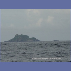 2003_3770_Solander_Island_Cape_Cook.html