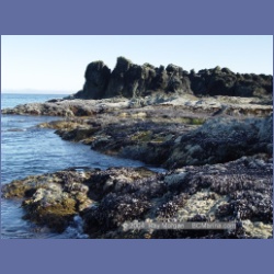 2003_3584_Spring_Island_Kyuquot_Sound.html