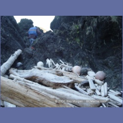 2003_3588_Spring_Island_Kyuquot_Sound.html