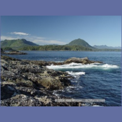 2003_3592_Spring_Island_Kyuquot_Sound.html