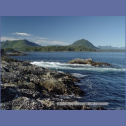 2003_3593_Spring_Island_Kyuquot_Sound.html