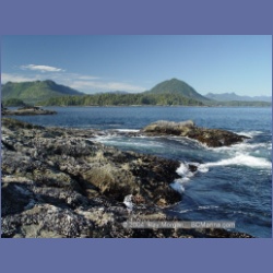 2003_3594_Spring_Island_Kyuquot_Sound.html