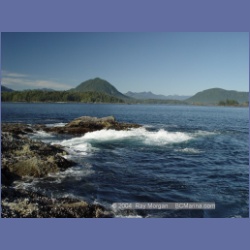 2003_3595_Spring_Island_Kyuquot_Sound.html