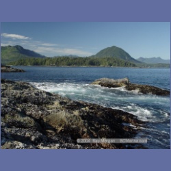 2003_3596_Spring_Island_Kyuquot_Sound.html