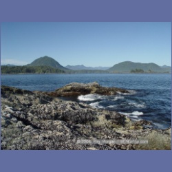 2003_3597_Spring_Island_Kyuquot_Sound.html