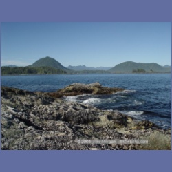 2003_3598_Spring_Island_Kyuquot_Sound.html