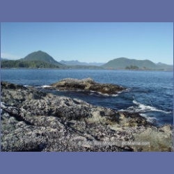 2003_3599_Spring_Island_Kyuquot_Sound.html