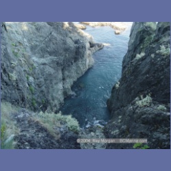 2003_3601_Spring_Island_Kyuquot_Sound.html
