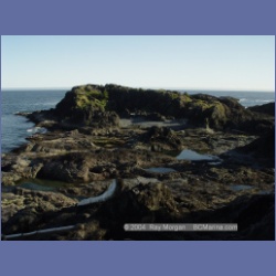 2003_3603_Spring_Island_Kyuquot_Sound.html