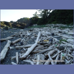 2003_3606_Spring_Island_Kyuquot_Sound.html