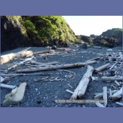 2003_3607_Spring_Island_Kyuquot_Sound.html